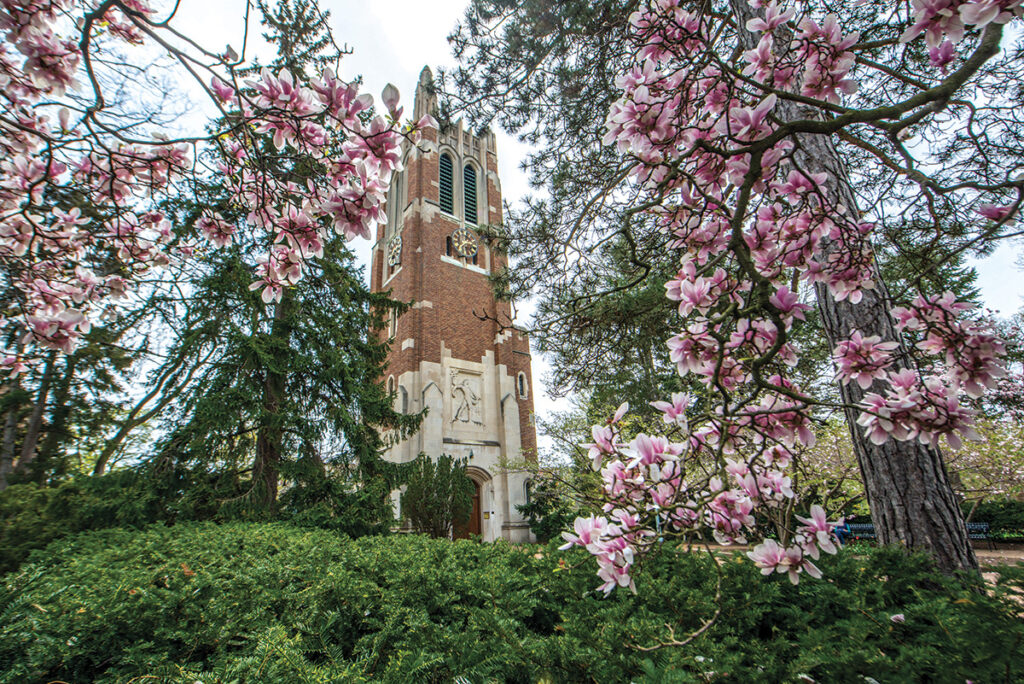 large tower with pink blossoms in foreground