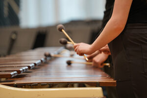 hands and arms shown of someone while performing on a marimba