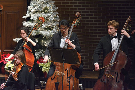 Picture of MSU Symphony Orchestra bass players performing on stage with a Christmas tree and poinsettia decorations in the background.