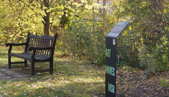 on a grassy path with trees behind sits a brown wooden bench and an informational pillar in the foreground which has, on the front, the words "Art Moves MSU."