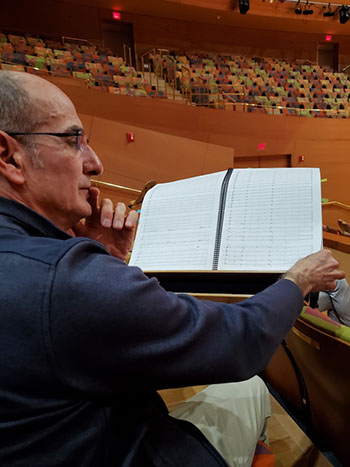 person studying musical score