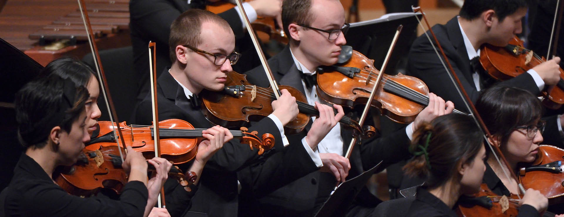 closeup photo focusing on a group of musicians in the violin section of the symphony orchestra, intently playing their instruments